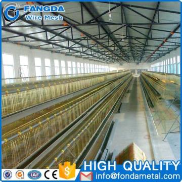 High Quality Poultry Cage Chicken Egg Broiler Cage / Layer Poultry Cage