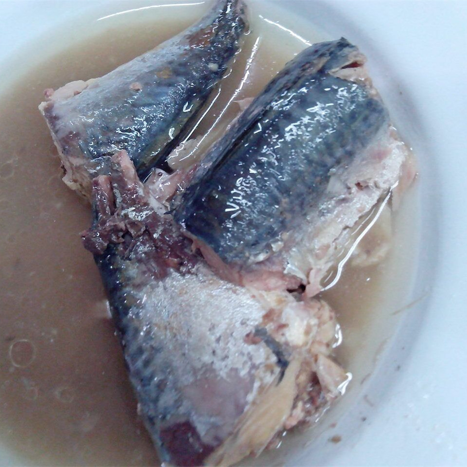 سمك الماكريل المعلب في الزيت النباتي والمحلول الملحي