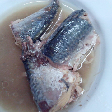 Ikan Tenggiri Kaleng dalam Minyak Sayur Dan Air Asin