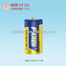 alkaline battery