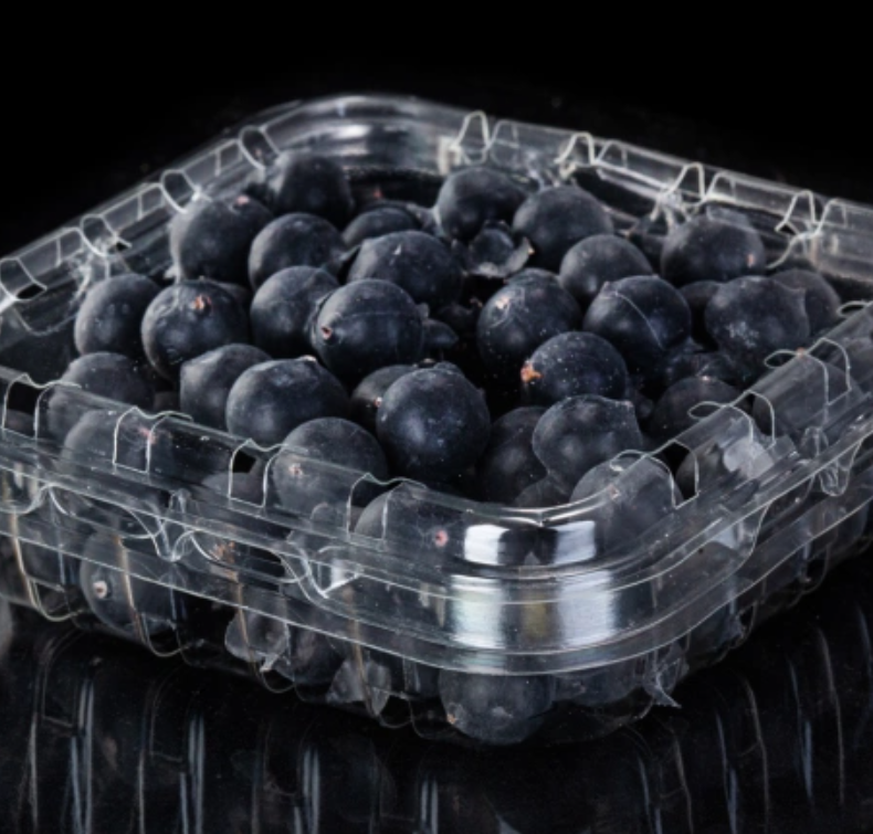 Kotak kemasan plastik blueberry daur ulang