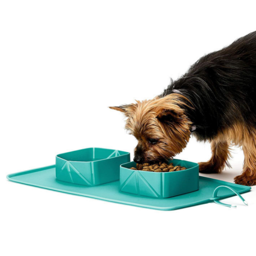 Portable Silicone Pet Bowl Có thể gập lại Du lịch Chó bát