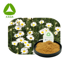 Matériau insecticide 10: 1 Poudre d&#39;extrait de carneum de pyréthrum