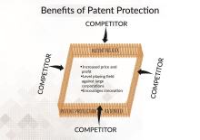 The Development Status of Intellectual Property