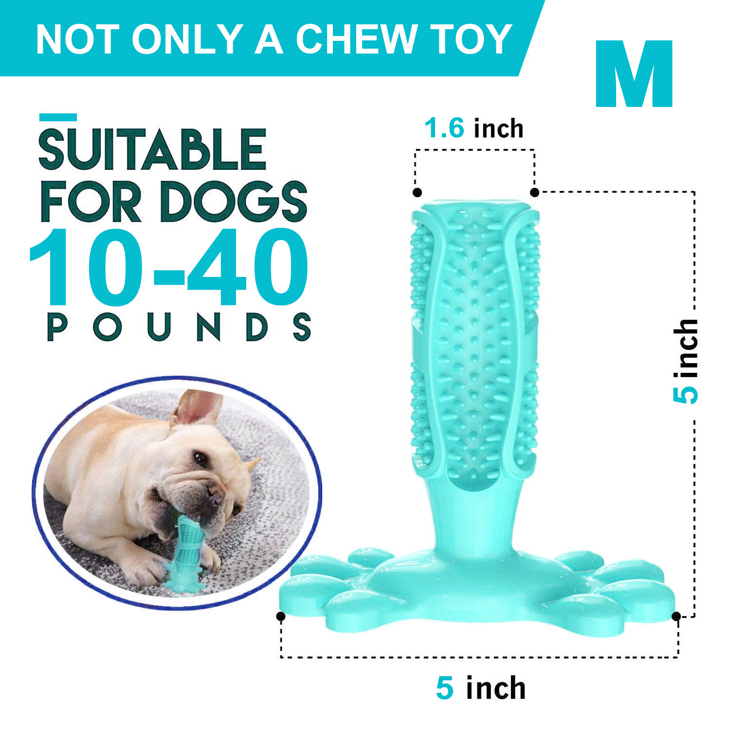 Finger Teeth Cleaning pet Brush Stick Cactus