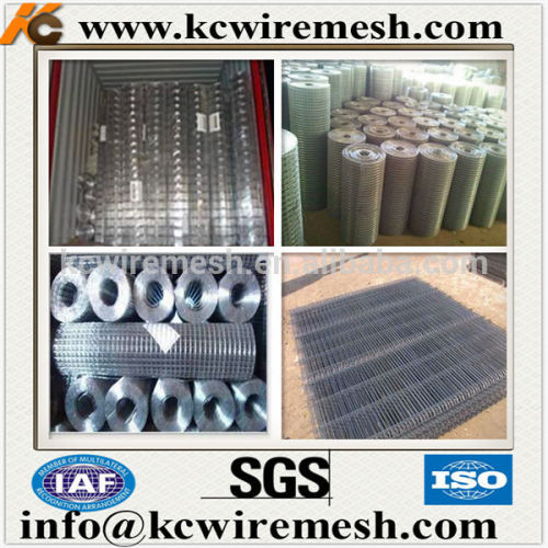 2x2 galvanized welded wire mesh panel