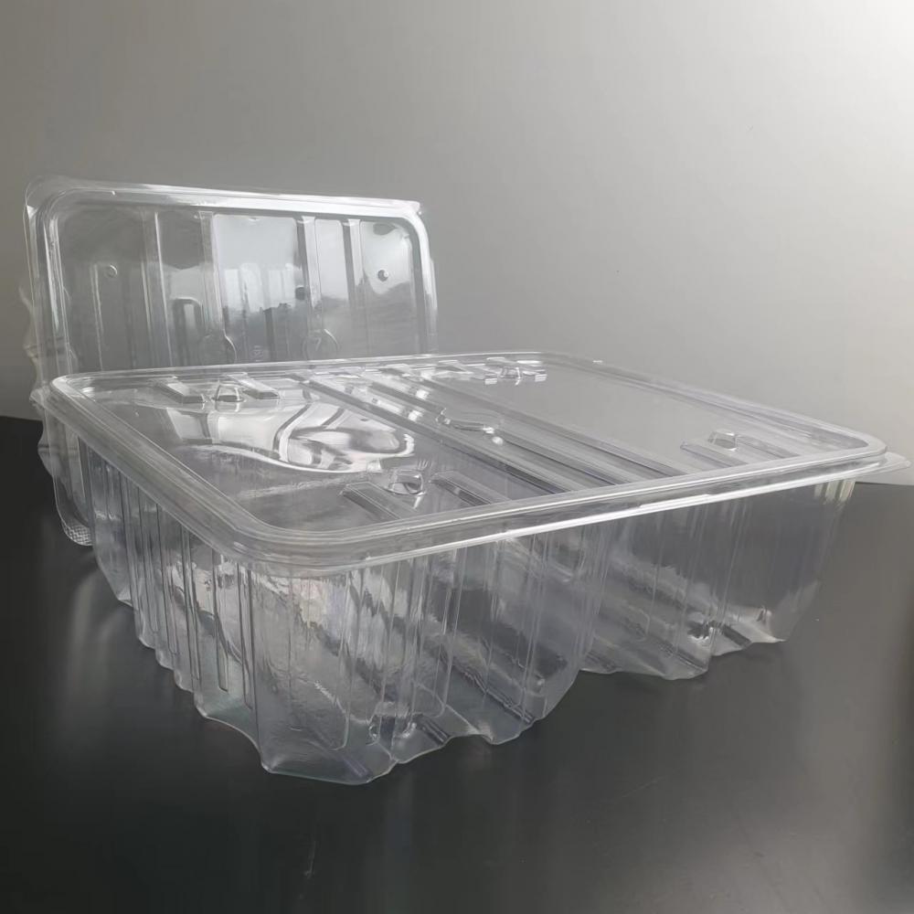 Pet Thermoforming Container23 Jpg