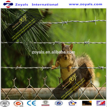 Galvanized barbed wire/ barbed wire for sale/ barbed wire