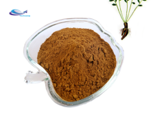 Supply 1%-10% Rhodiola Rosea Root Extract Powder