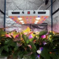 Luz LED Phlizon Cree CXB3590 Plant Grow