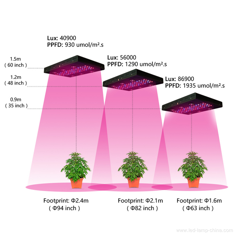 1000W COB LED grow light