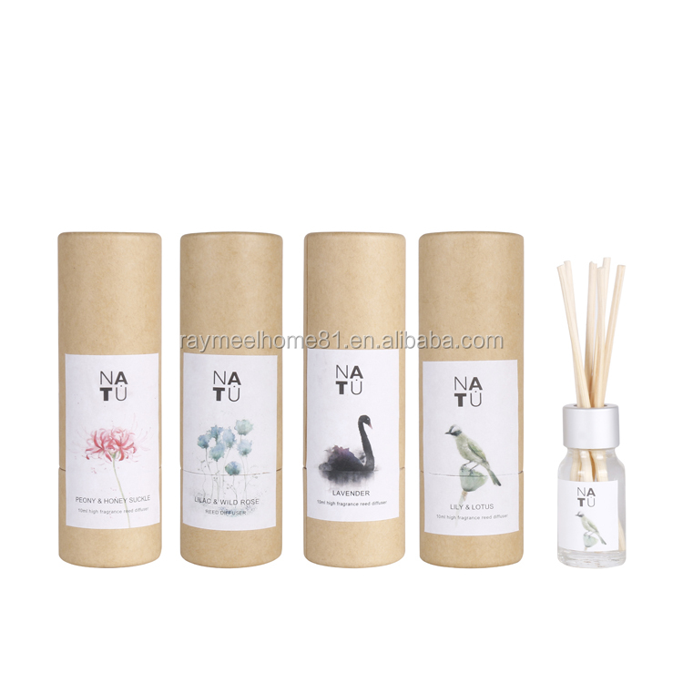 Mini 10 ml di bottiglia in vetro da casa Reed Diffuser Regalo