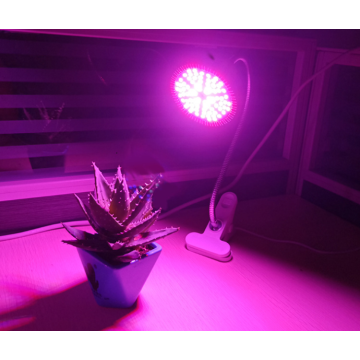 Grow bulb from grocery store 290LED 45W