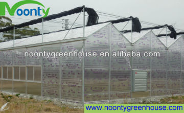 Venlo Greenhouse