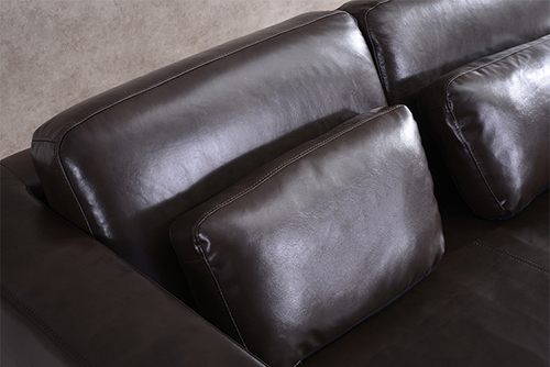 Leather Lounge Sofa Bed