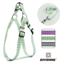 Light Weight Dog Collar