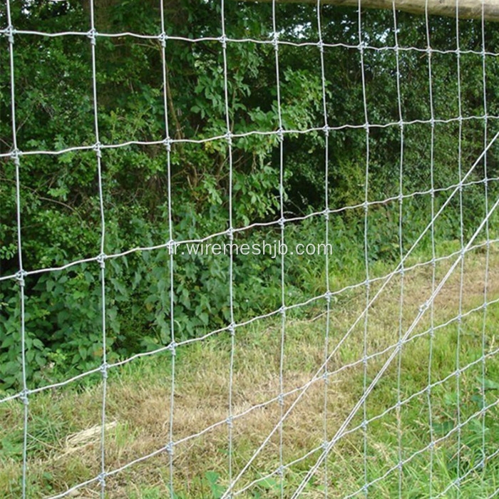 Clôture pour réseau Kraal galvanisé à chaud avec clôture de prairie