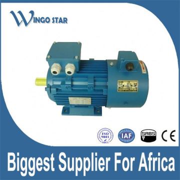 induction iron model variable speed motors