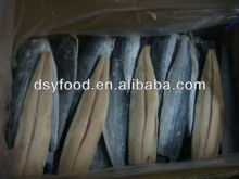 frozen spanish mackerel fish fillets