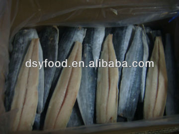 frozen spanish mackerel fish fillets