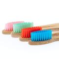 Brosse à dents en bambou écologique en gros