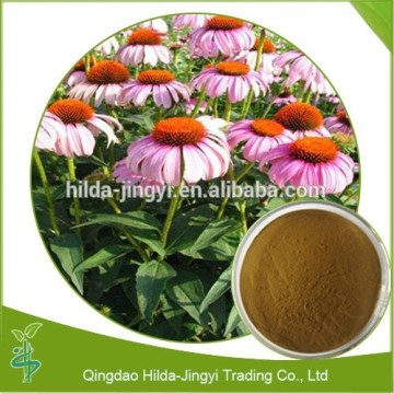 High quality medicinal herb echinacea extract