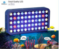 Acquario a LED con spettro completo con alloggiamento in ferro