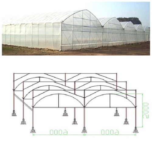 Skyplant grande serre multiples pour l&#39;agriculture