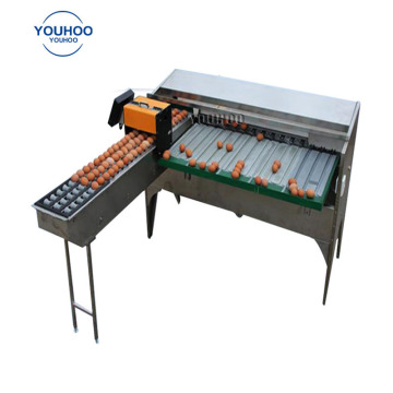 Industrial Egg Classification Machine: Cost and Functionality