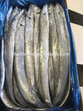 Frozen Ribbon Fish Hairtail Fish