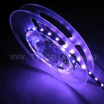 LED Light Manufacturer China led strip RGB 50m smd 5050