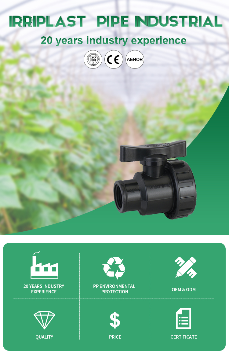 Professional plastic ball valve Wholesale price Hot sale pp hdpe female/female ball valve for irrigation