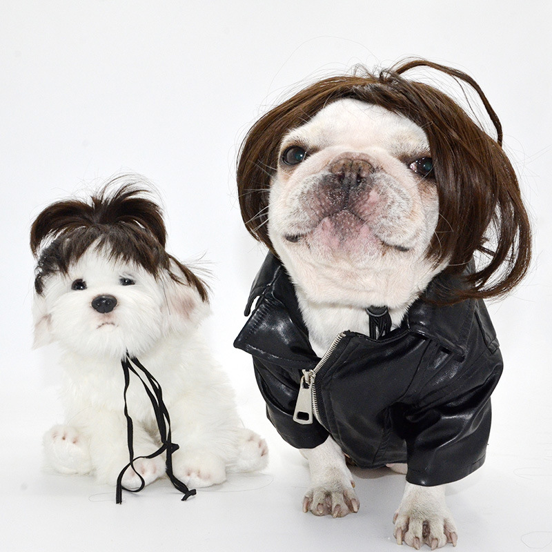 Pet headdress hat hood puppy costume cat wig Pet headdress hat hood puppy costume cat wig