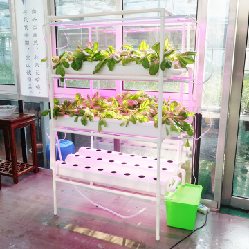 NFT Hydroponic System for home with led