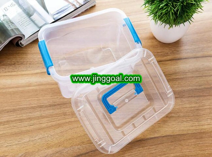 Small  and  Large  Plastic Storage  Box