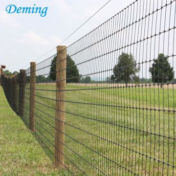 Factory Hot Dip Galvanized Galvanized Knot Field Fence