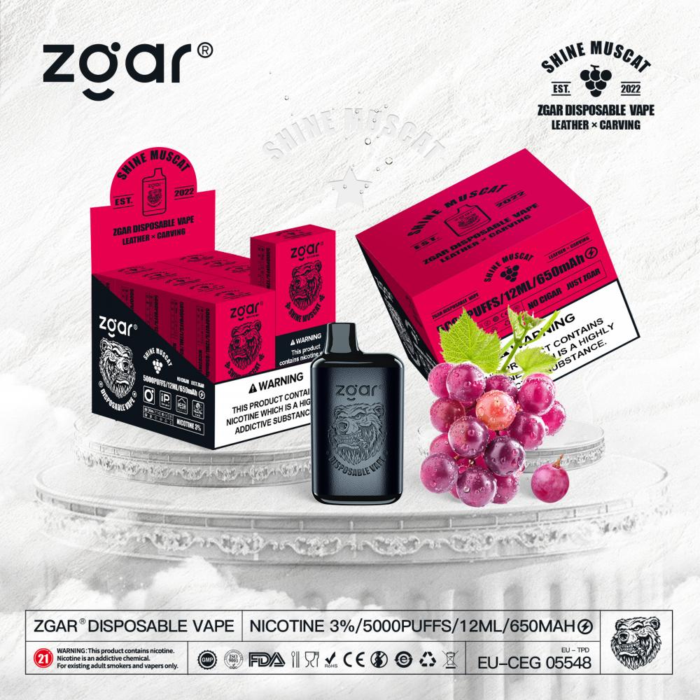 ZGAR Disposable E-Cigarette Kit