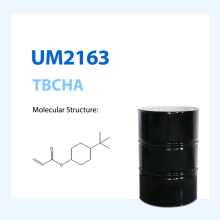 Good Adhesion 4-Tert-Butyl Cyclohexyl Acrylate TBCHA