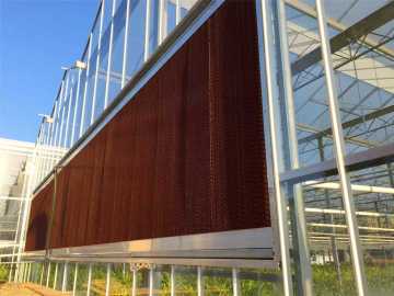 Fan and Pad Cooling System