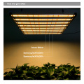 640W Phlizon LED Grow Light Strip Designable Designable