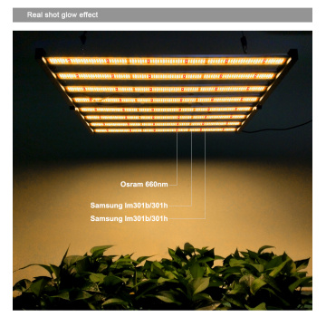 640W Phlizon LED Crescer Light tira design dobrável