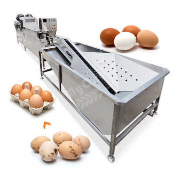 Automatic Quail Egg Cleaner Washer Machine - Egg Wash Shell Clean Machine Price