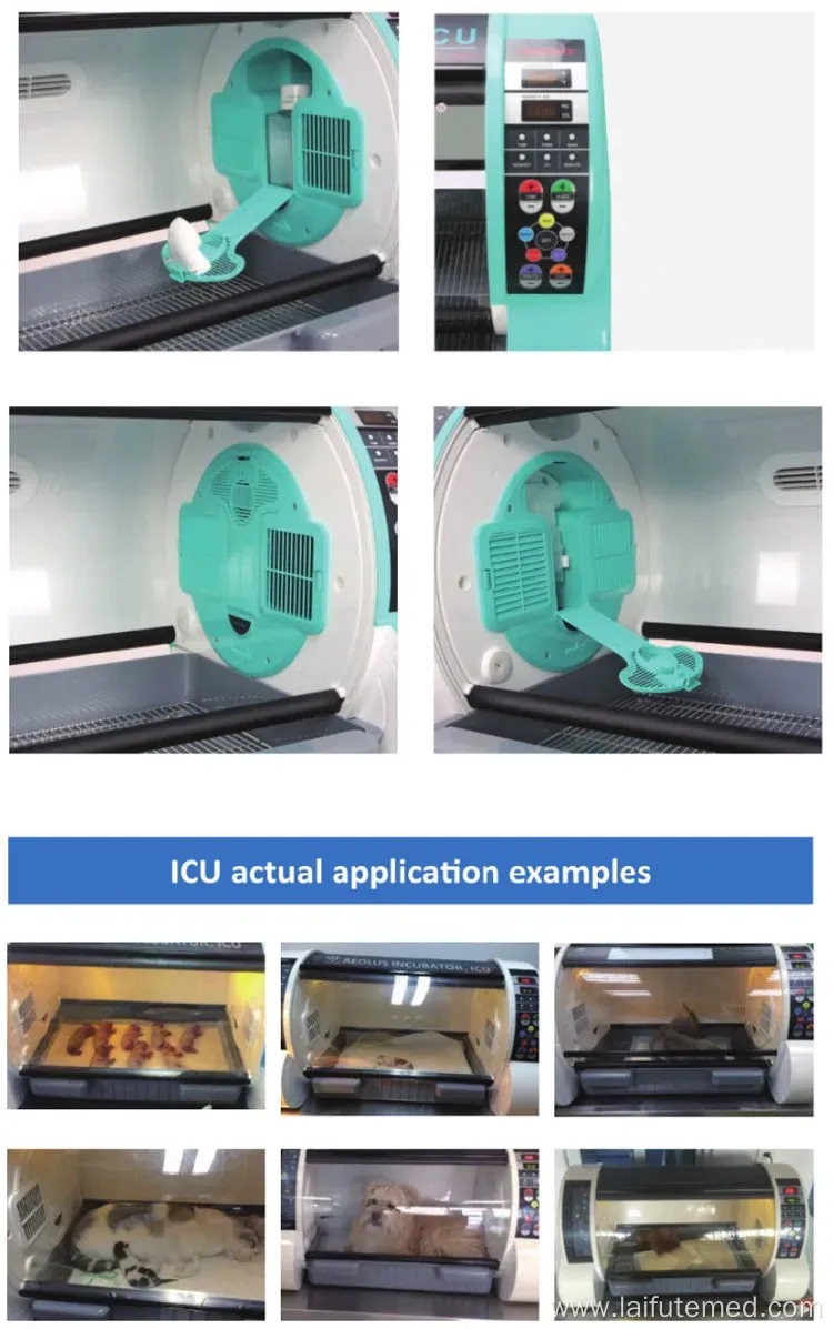 Veterinary Puppy Incubator for Pet Care