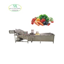 Hotsale QXJ-LM Washer Type Industrial Electric Vegetable & Fruit Process Machine