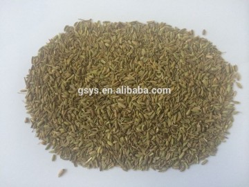 Fennel seeds