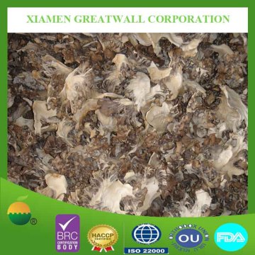 Dried maitake mushroom from China