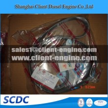 Iveco water pump belt