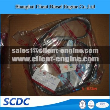 Iveco water pump belt