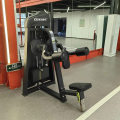 Machine à lever de l&#39;épaule pour le club de gym