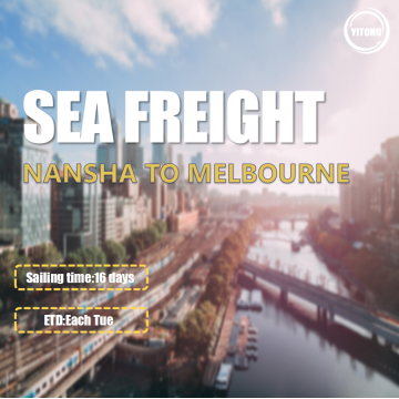 Sea Freight Service From Nansha To Melbourne Australia